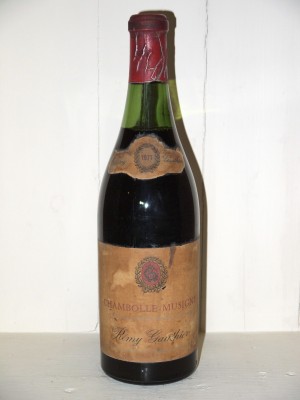  Chambolle-Musigny 1971 Remy Gauthier